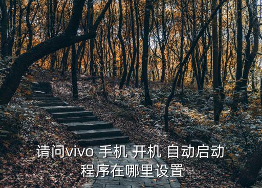 请问vivo 手机 开机 自动启动 程序在哪里设置