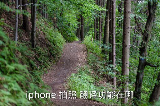 iphone 拍照 翻译功能在哪