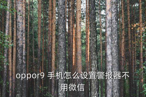 oppor9 手机怎么设置警报器不用微信