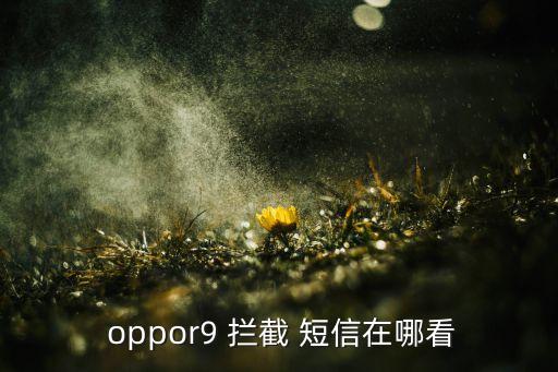  oppor9 拦截 短信在哪看