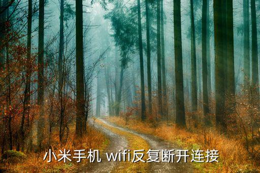  小米手机 wifi反复断开连接