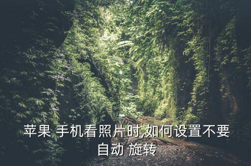  苹果 手机看照片时,如何设置不要 自动 旋转