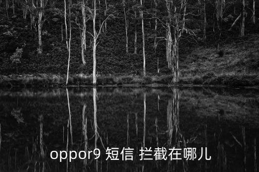 oppor9自动拦截短信,如何使用smart拦截垃圾信息?