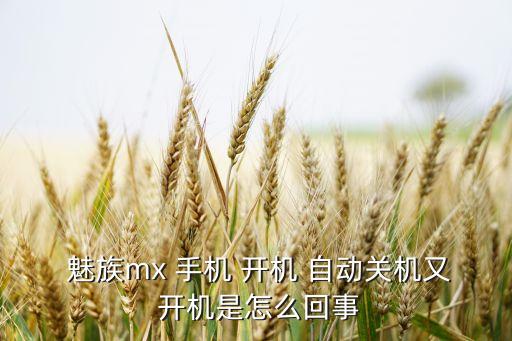  魅族mx 手机 开机 自动关机又 开机是怎么回事