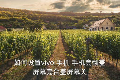 如何设置vivo 手机 手机套翻盖屏幕亮合盖屏幕关