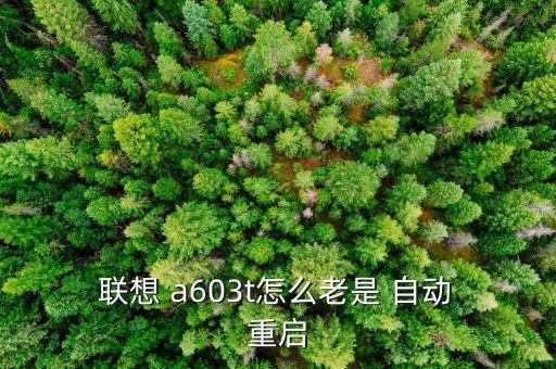  联想 a603t怎么老是 自动 重启