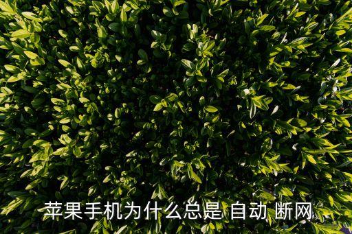  苹果手机为什么总是 自动 断网