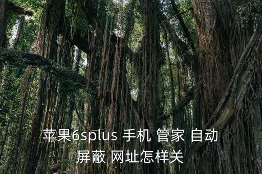 苹果6splus 手机 管家 自动屏蔽 网址怎样关