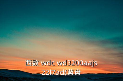 西数 wdc wd3200aajs22l7ad(蓝盘