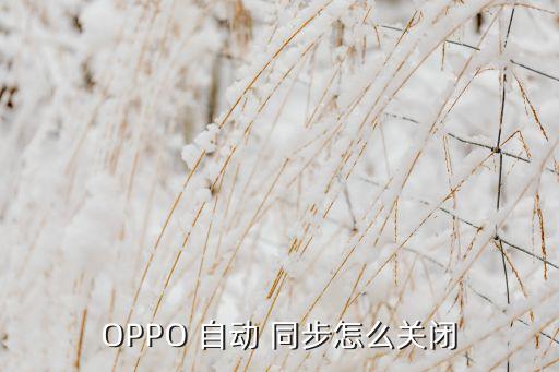 oppo 自动 同步怎么关闭