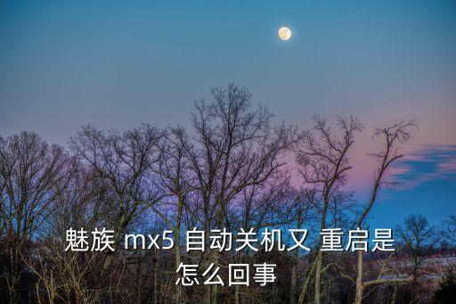  魅族 mx5 自动关机又 重启是怎么回事