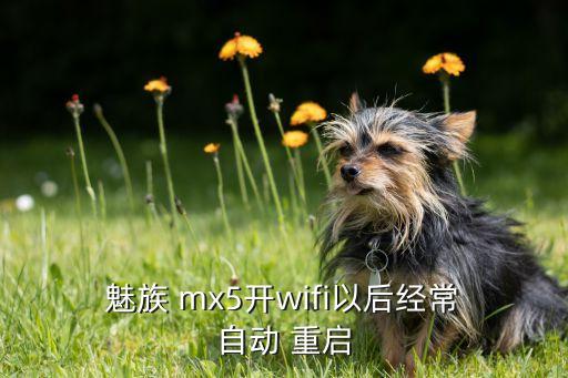 魅族mx5经常自动重启,手机出现病例怎么办?