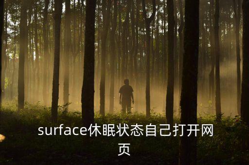  surface休眠状态自己打开网页