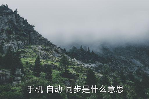  手机 自动 同步是什么意思