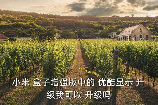 小米 盒子增强版中的 优酷显示 升级我可以 升级吗