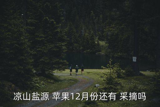 凉山盐源 苹果12月份还有 采摘吗