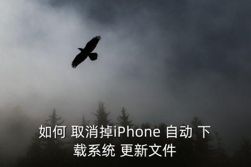 如何 取消掉iphone 自动 下载系统 更新文件