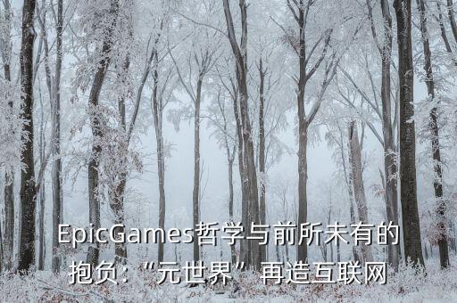 epicgames哲学与前所未有的抱负:“元世界”再造互联网