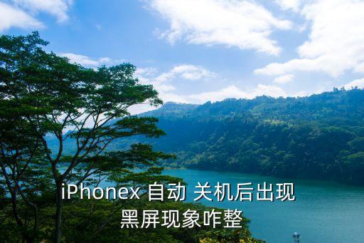 iphonex 自动 关机后出现 黑屏现象咋整