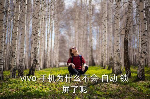 vivo 手机为什么不会 自动 锁屏了呢