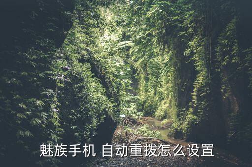 魅族取消ip自动拨号,电脑ip，dns设置自动access