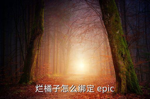 epic自动对焦,玩家可以尝试使用golink启动加速