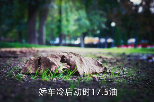  娇车冷启动时17.5油