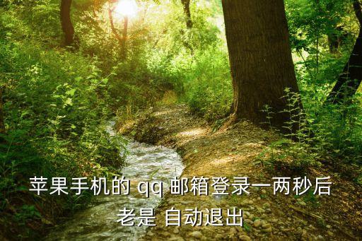 苹果手机的 qq 邮箱登录一两秒后老是 自动退出