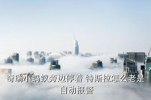 奇瑞小蚂蚁旁边停着 特斯拉怎么老是 自动报警