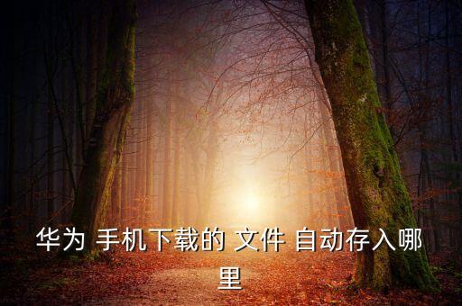 华为 手机下载的 文件 自动存入哪里