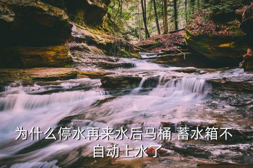 为什么停水再来水后马桶 蓄水箱不 自动上水了