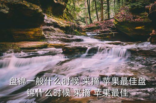 盘锦一般什么时候 采摘 苹果最佳盘锦什么时候 采摘 苹果最佳