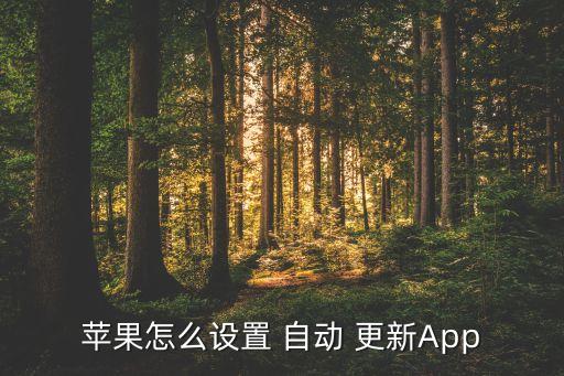 苹果怎么设置 自动 更新app