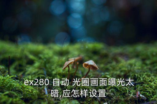  ex280 自动 光圈画面曝光太暗,应怎样设置