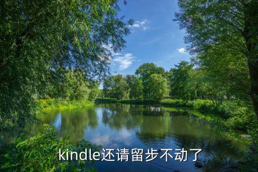  kindle还请留步不动了