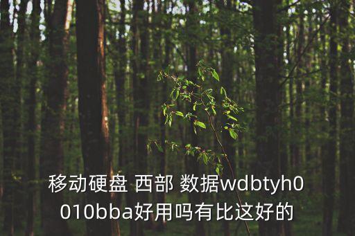 移动硬盘 西部 数据wdbtyh0010bba好用吗有比这好的