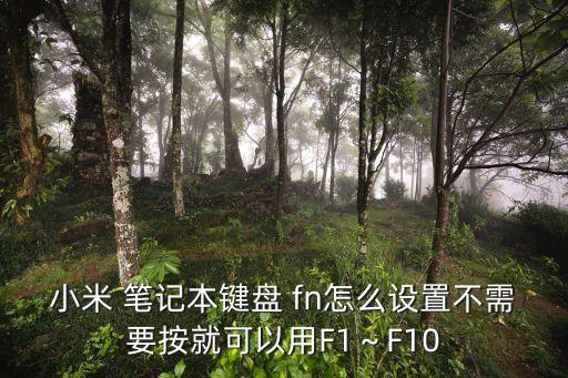 小米 笔记本键盘 fn怎么设置不需要按就可以用f1～f10