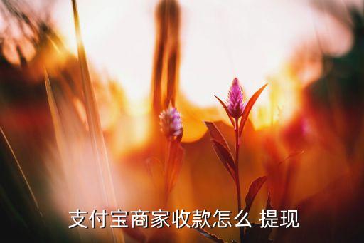  支付宝商家收款怎么 提现