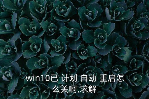  win10已 计划 自动 重启怎么关啊,求解