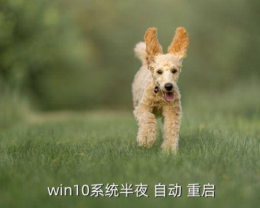  win10系统半夜 自动 重启