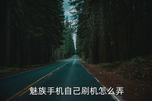  魅族手机自己刷机怎么弄