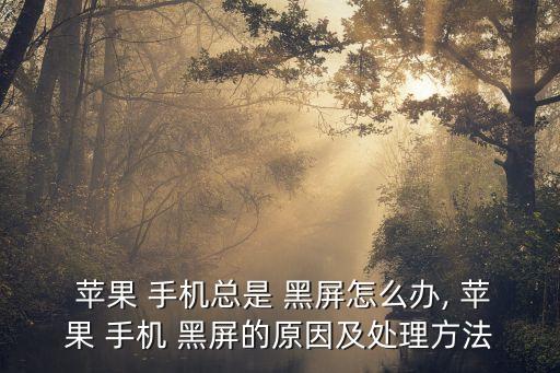  苹果 手机总是 黑屏怎么办, 苹果 手机 黑屏的原因及处理方法