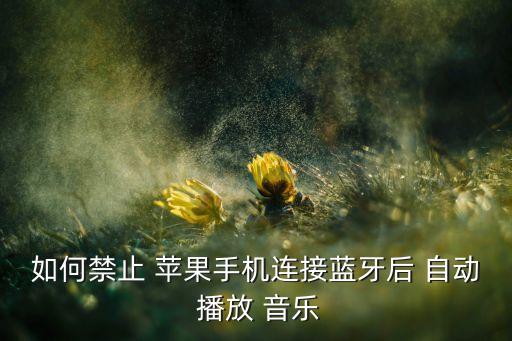 如何禁止 苹果手机连接蓝牙后 自动 播放 音乐