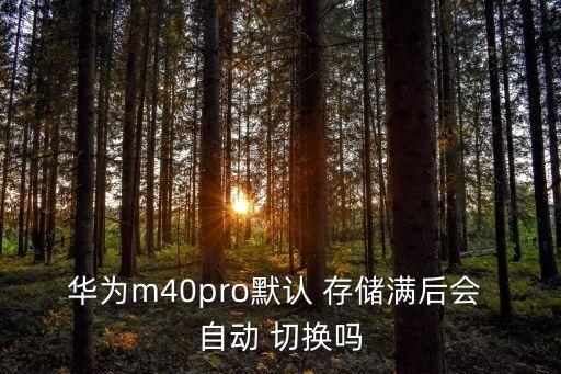 华为m40pro默认 存储满后会 自动 切换吗