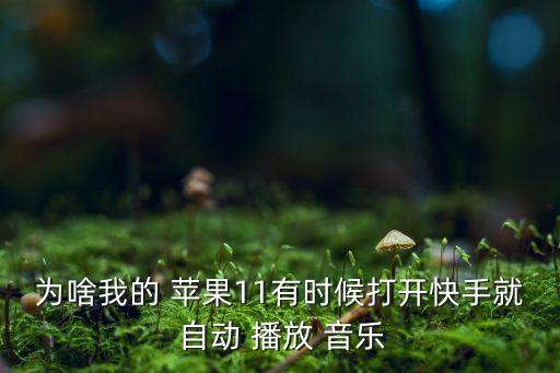 为啥我的 苹果11有时候打开快手就 自动 播放 音乐