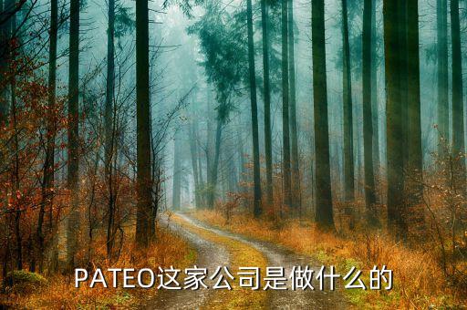 pateo这家公司是做什么的