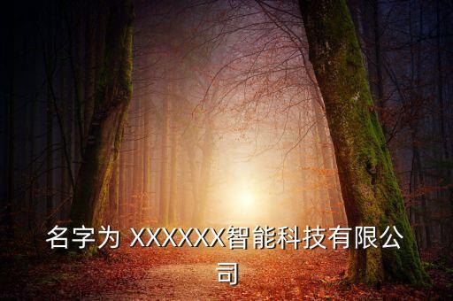 名字为 xxxxxx智能科技有限公司