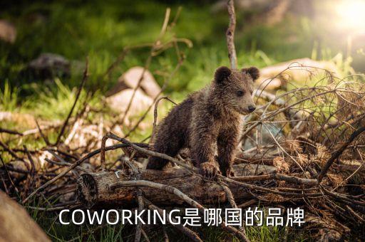 coworking是哪国的品牌