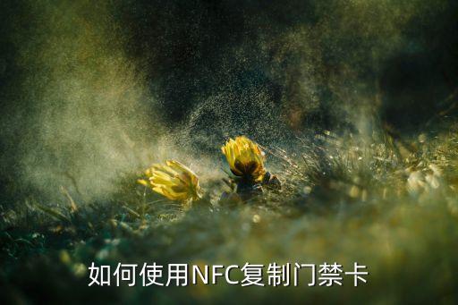 如何使用nfc复制门禁卡