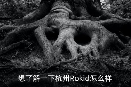 想了解一下杭州rokid怎么样